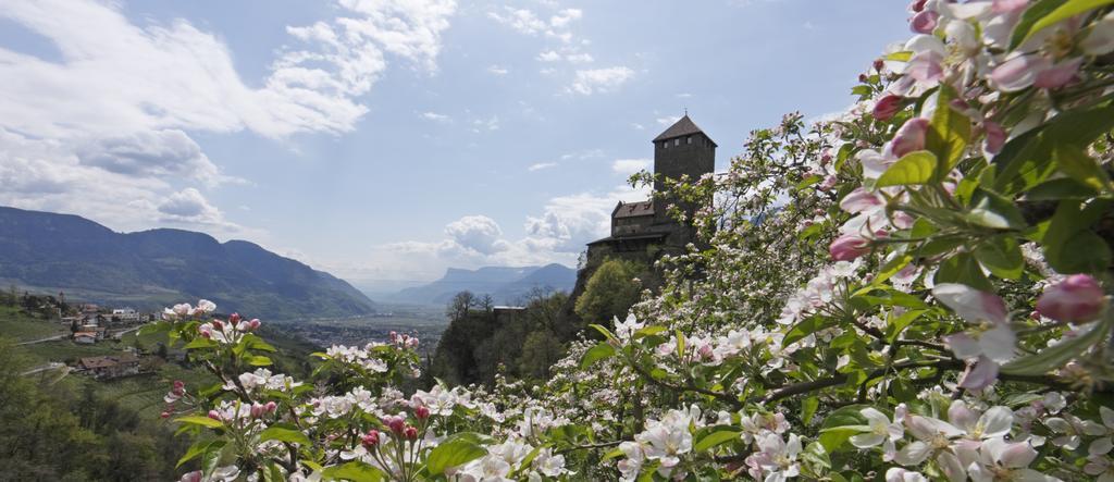 Hotel Zum Tiroler Adler Buitenkant foto